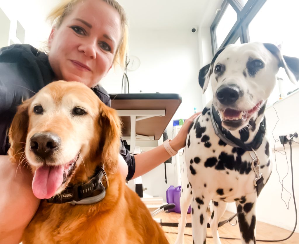 Katere pasme psov potrebujejo največ nege?