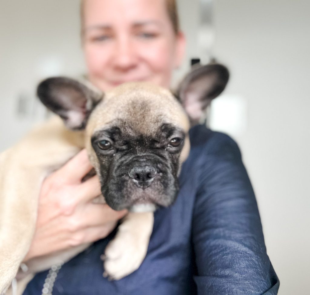 Kako pomembno je uvajanje mladička na nego v salonu – in zakaj?